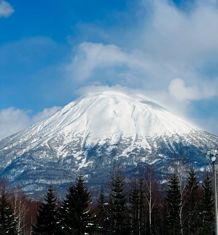 魅力がいっぱい北海道